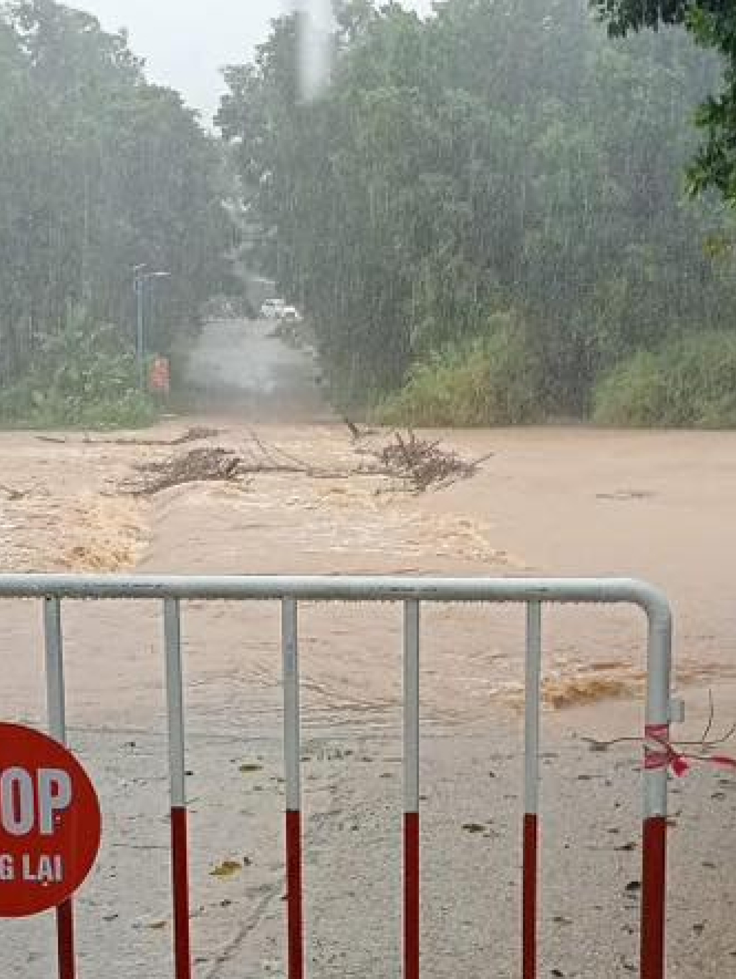 岘港:24小时内降雨超过400毫米,警告山洪和山体滑坡风险
